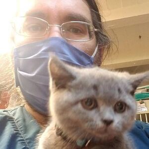 Staff Holding Grey Kitten