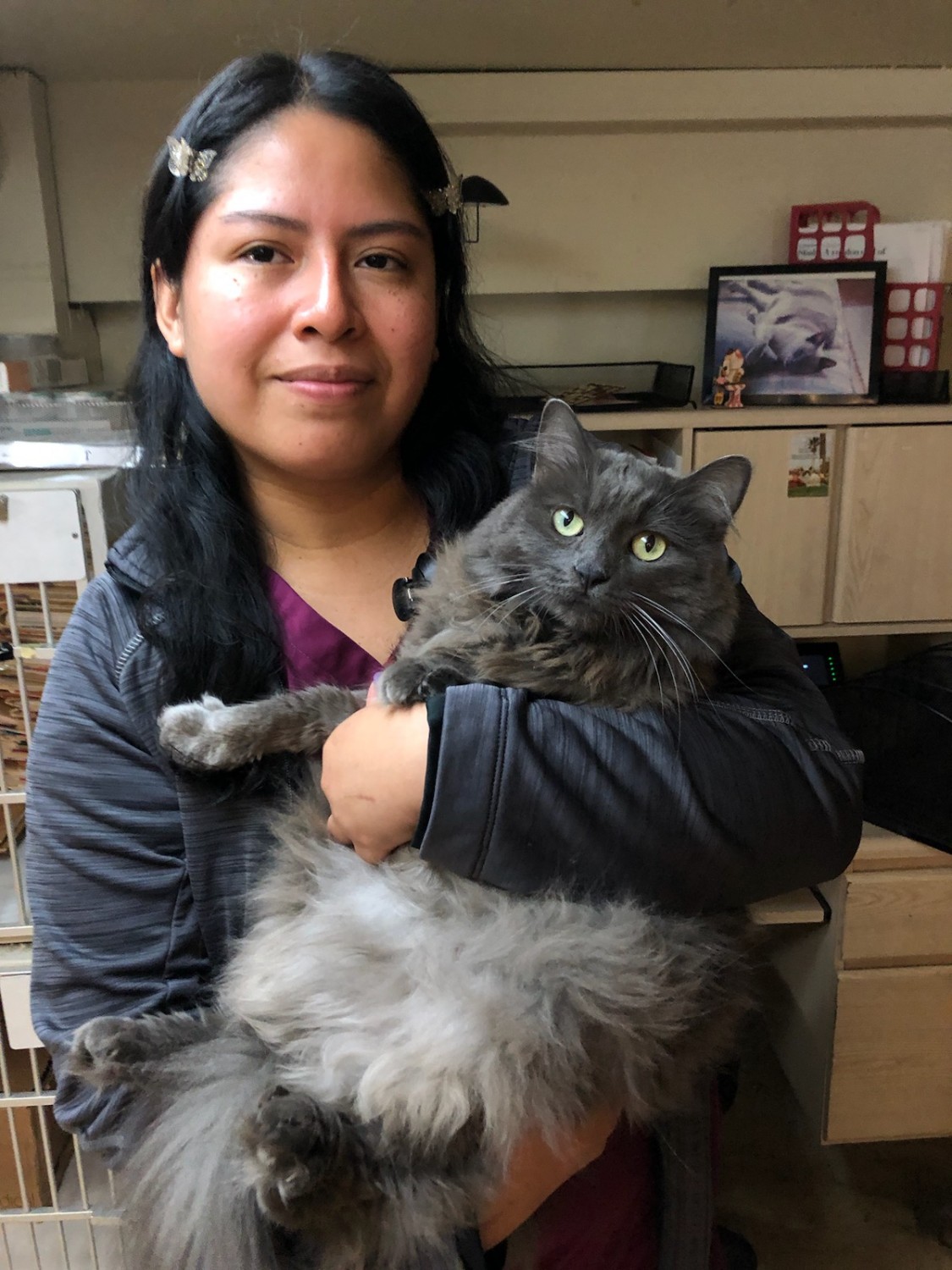 Maria holding a fluffy grey Cat