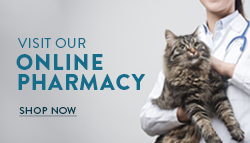 Online Pharmacy Shop Now Icon