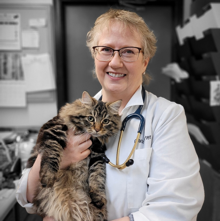 Dr. Grace Carter (Owner) Holding Fuzzy Cat