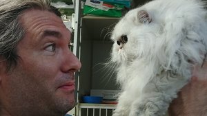 David Staring at a White Cat